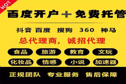 SEM服务在本地化营销中的应用案例